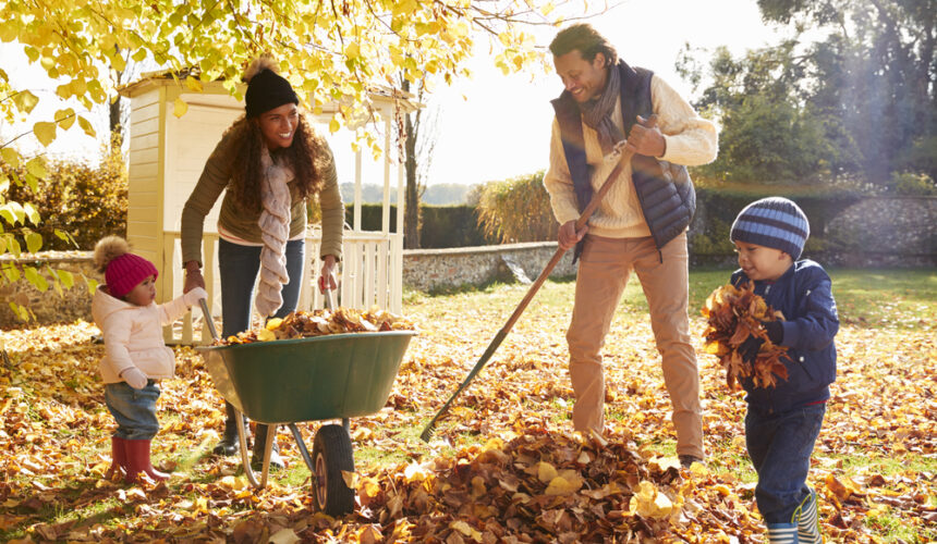 How to Rake Leaves Without Straining Your Joints