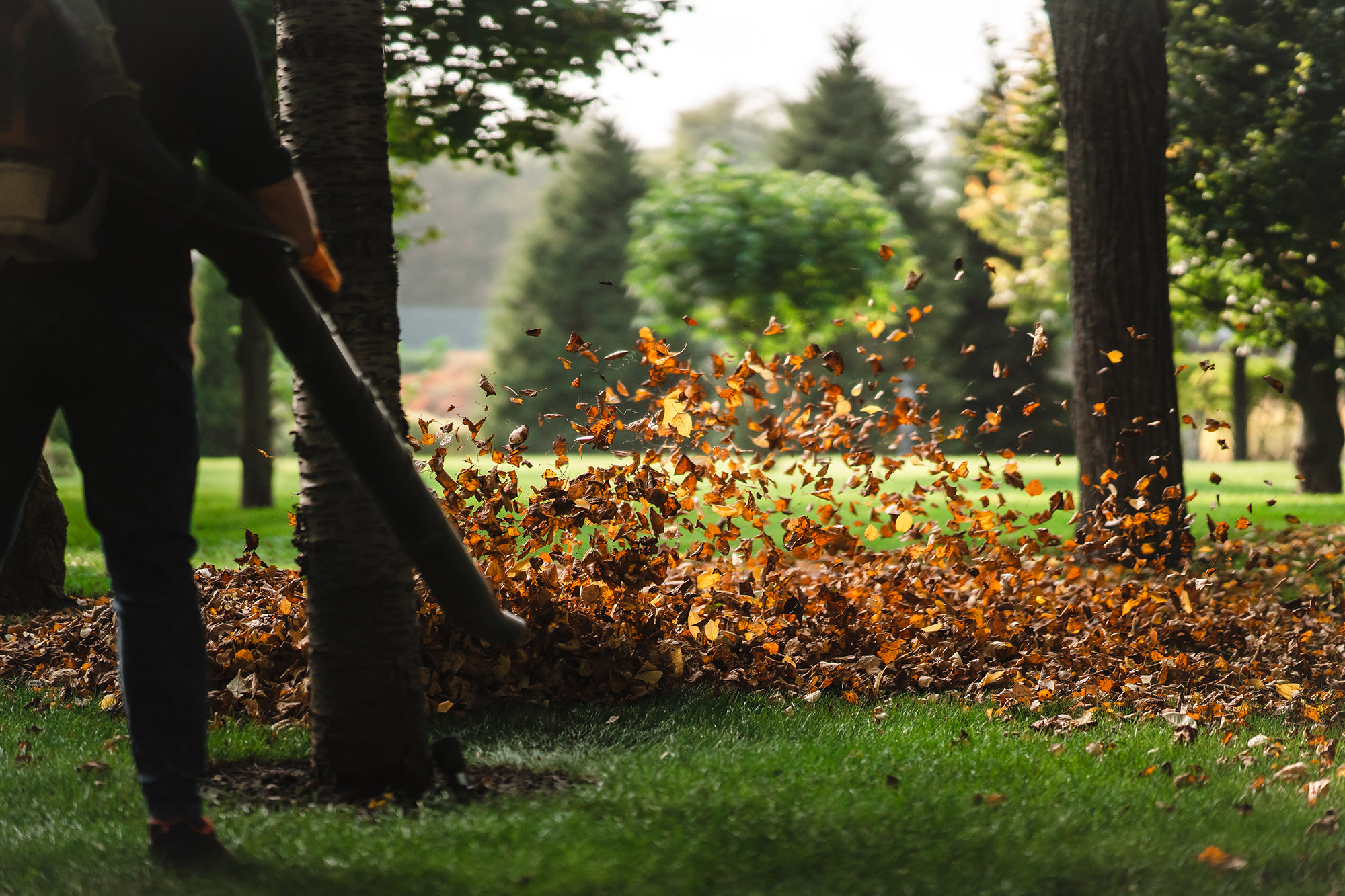 How to Rake Leaves Without Straining Your Joints