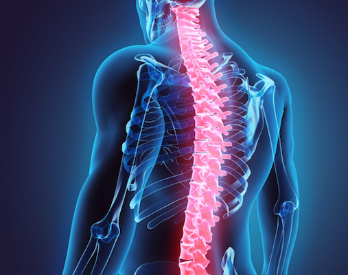 6 Surprising Spine Myths and the Truth Behind Them